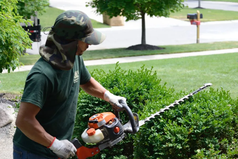 Professional landscape installation for year-round maintenance in Northville, MI by Begonia Brothers