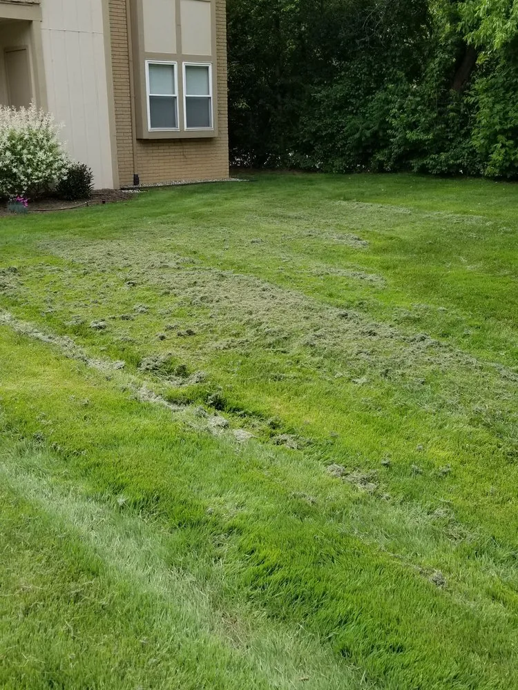 Professional yard maintenance in Northville, MI - Begonia Brothers