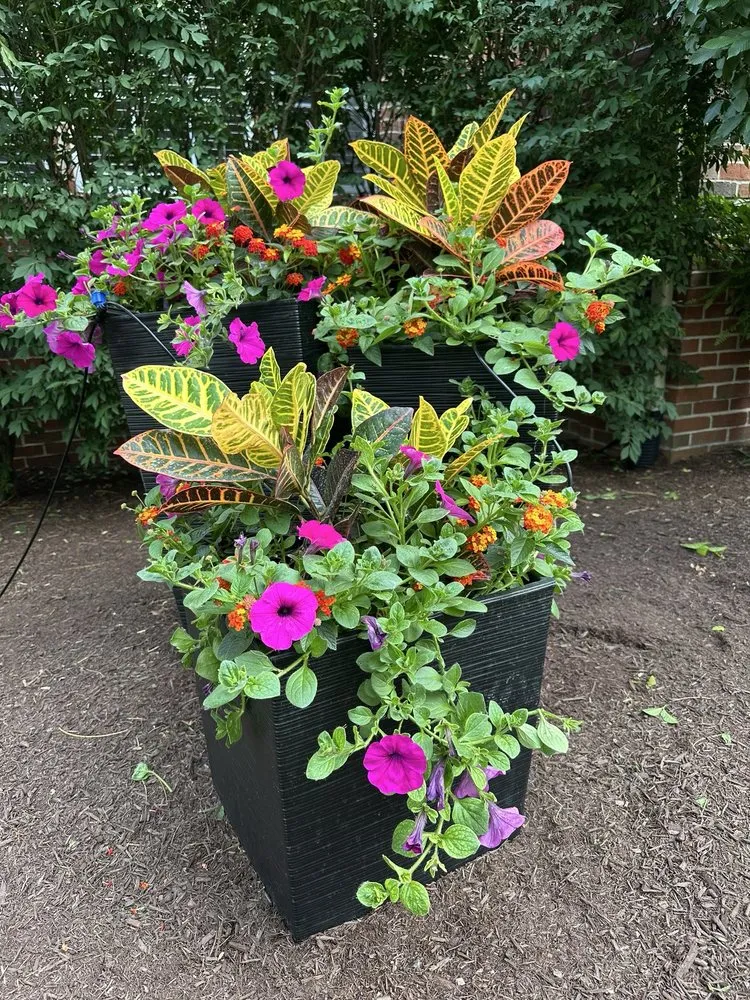 Top-rated lawn mowing service in Northville, MI by Begonia Brothers