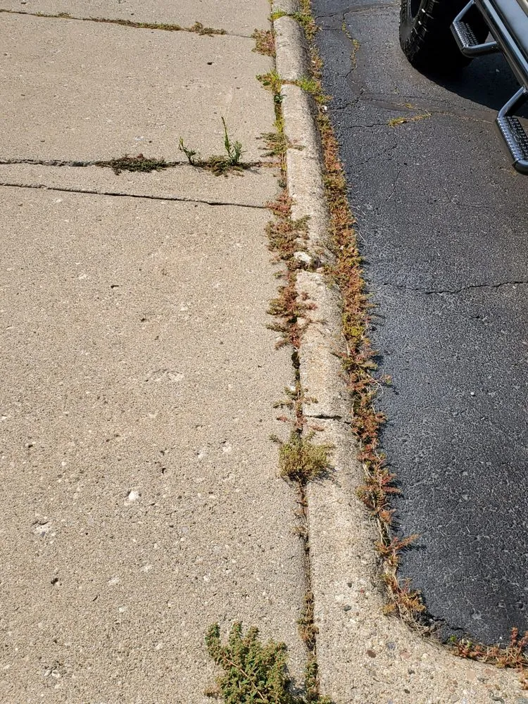 Trusted landscaping services for year-round maintenance across Northville, MI - Begonia Brothers