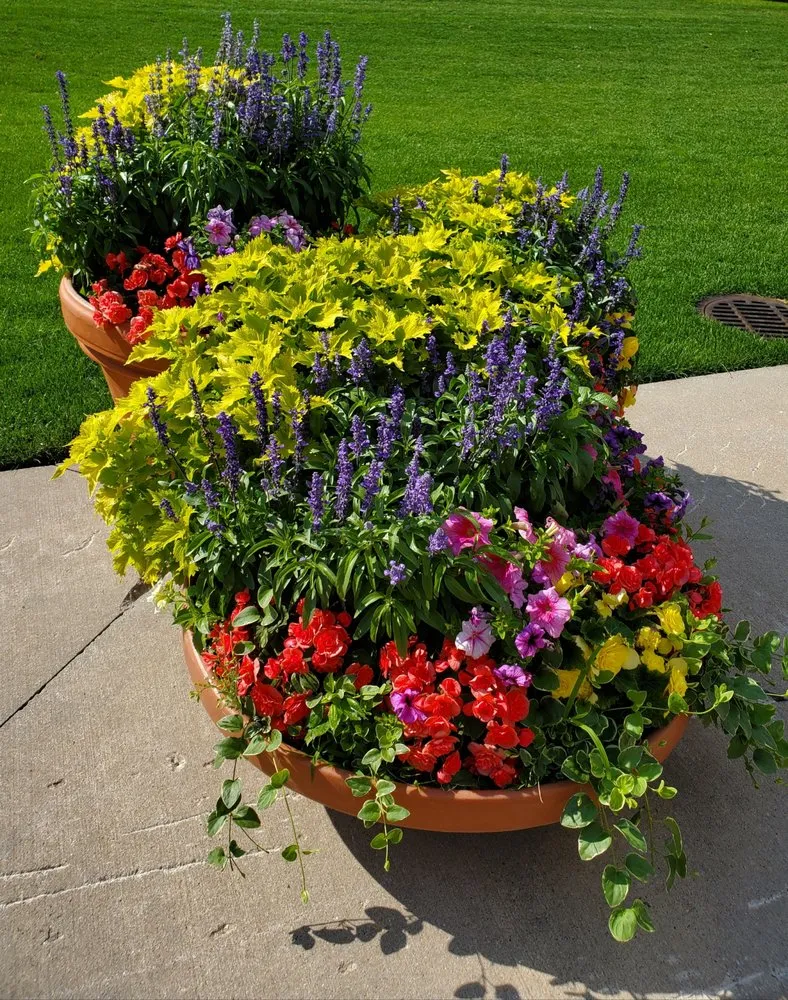 Trusted lawn care service for year-round maintenance in Northville, MI by Begonia Brothers