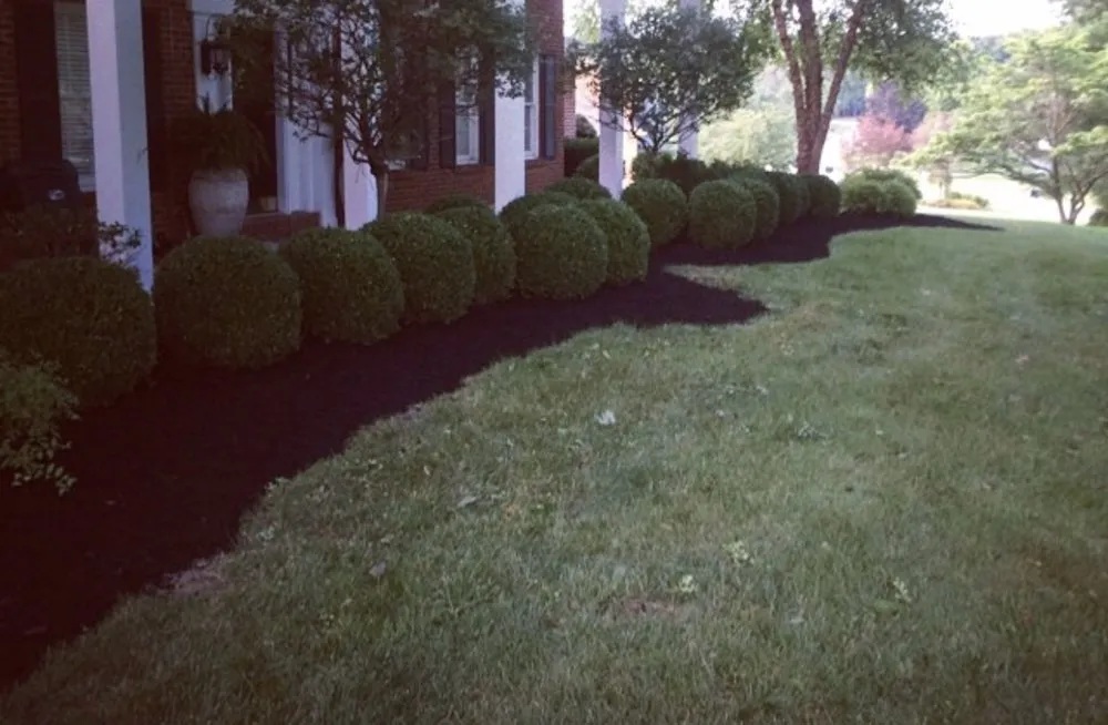 Top-rated landscaping services for homes across New Braunfels, TX - BEGRED Landscaping