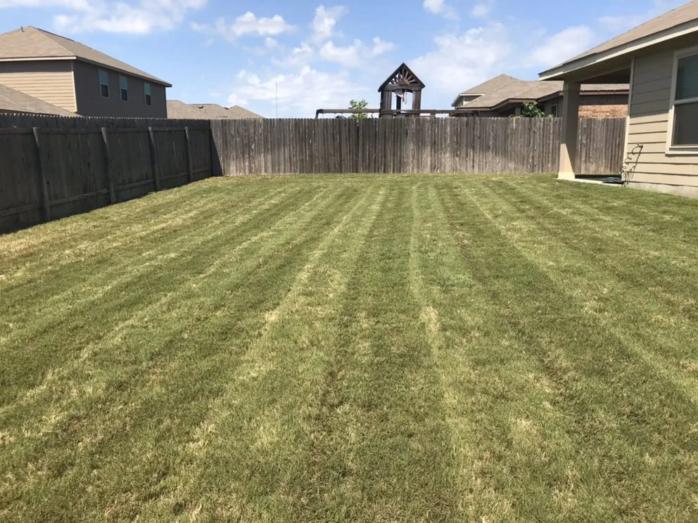 Top-rated residential landscaping experts serving New Braunfels, TX - BEGRED Landscaping