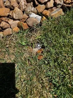 Expert residential landscaping in New Braunfels, TX by BEGRED Landscaping