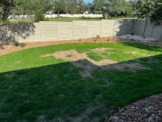 Trusted landscaping services in New Braunfels, TX by BEGRED Landscaping