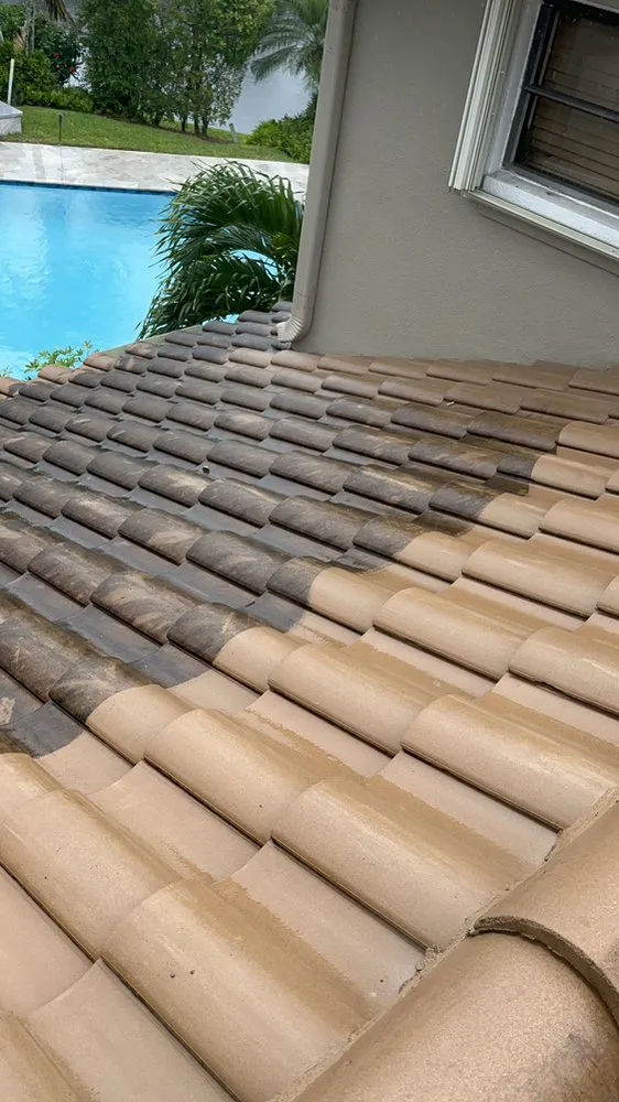 Local landscape design with custom design across West Palm Beach, FL - Behind The Scenes Property Services