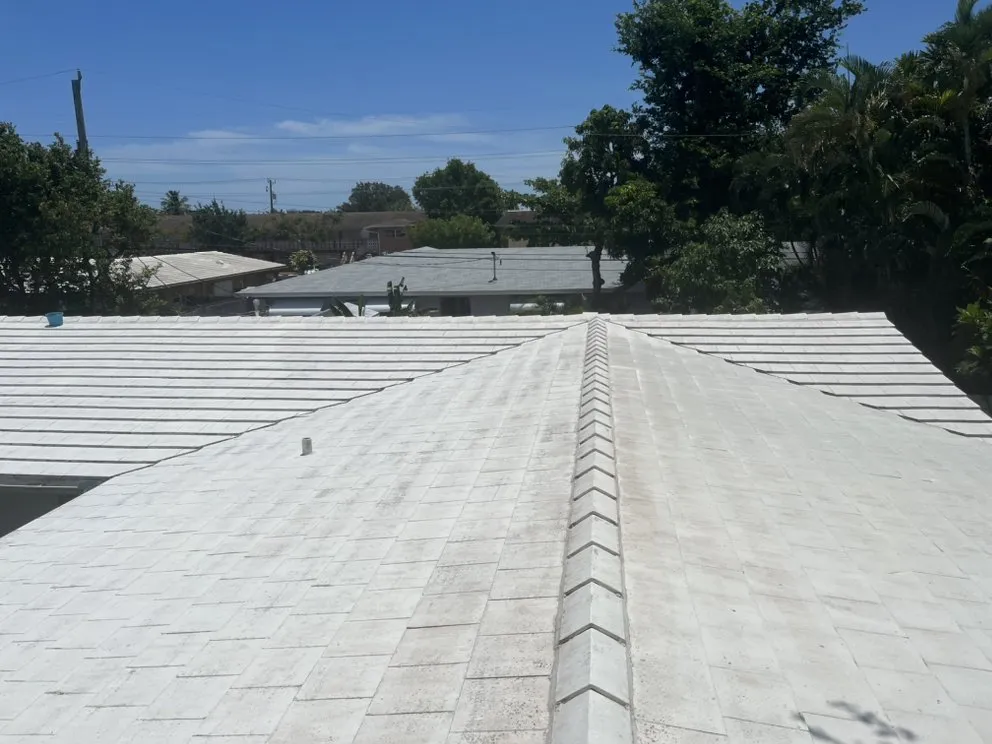 Custom yard cleanup service for residential properties in West Palm Beach, FL by Behind The Scenes Property Services