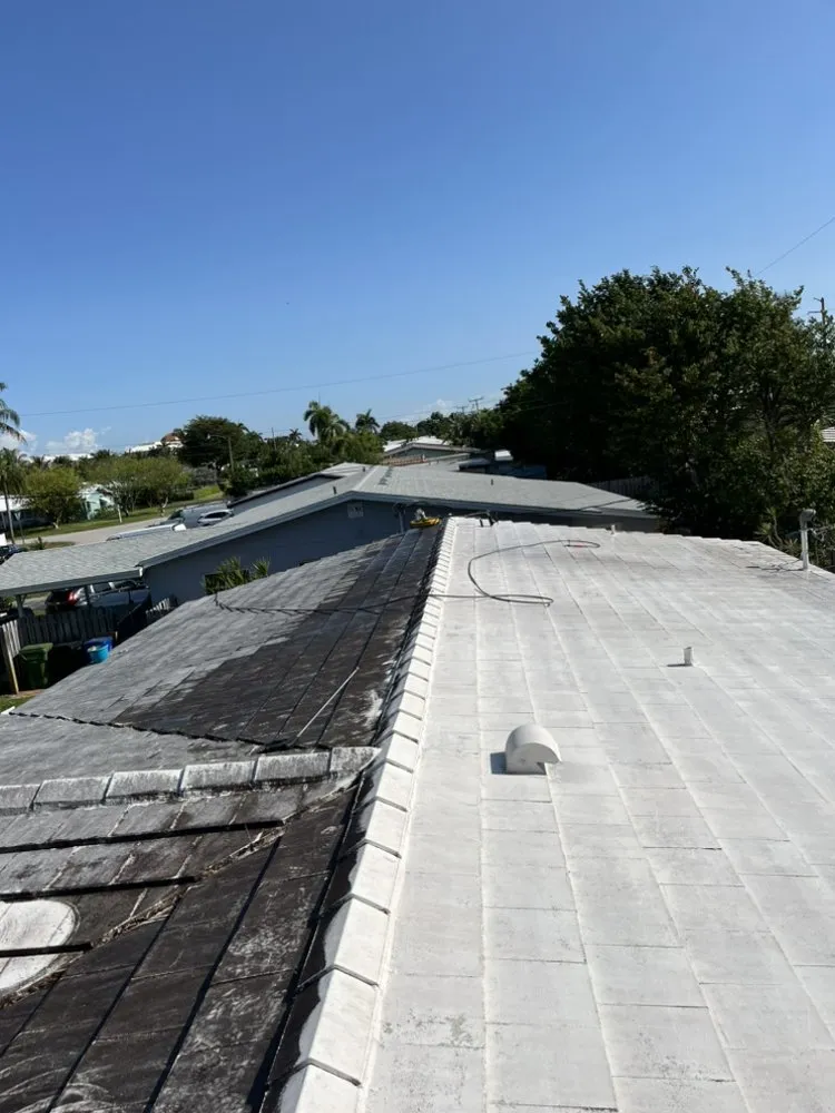 Professional lawn care service for beautiful yards across West Palm Beach, FL - Behind The Scenes Property Services