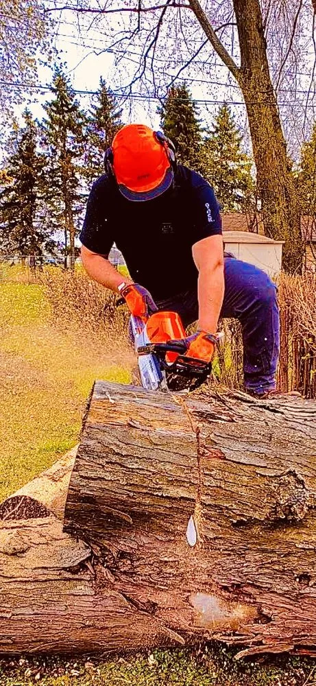 Affordable landscape design experts serving De Pere, WI - Behl's Tree & Lawn Service