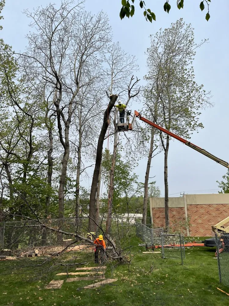 Expert yard maintenance experts serving De Pere, WI - Behl's Tree & Lawn Service