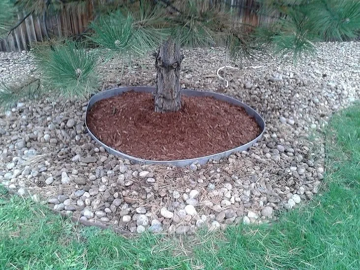 Local yard maintenance experts serving Aurora, CO - Behm Landscaping