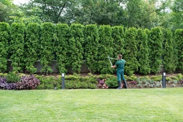 Professional garden landscaping experts serving Fleetwood, PA - Behm’s Lawn Care