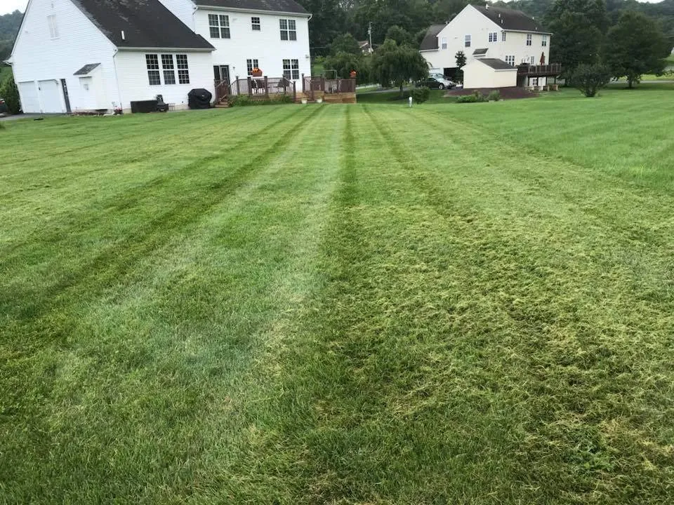 Custom yard cleanup service for residential properties across Fleetwood, PA - Behm’s Lawn Care