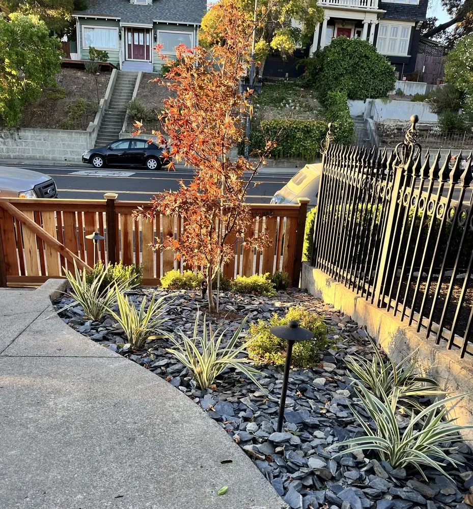 Custom lawn care service in Vacaville, CA - Behr Landscape Construction