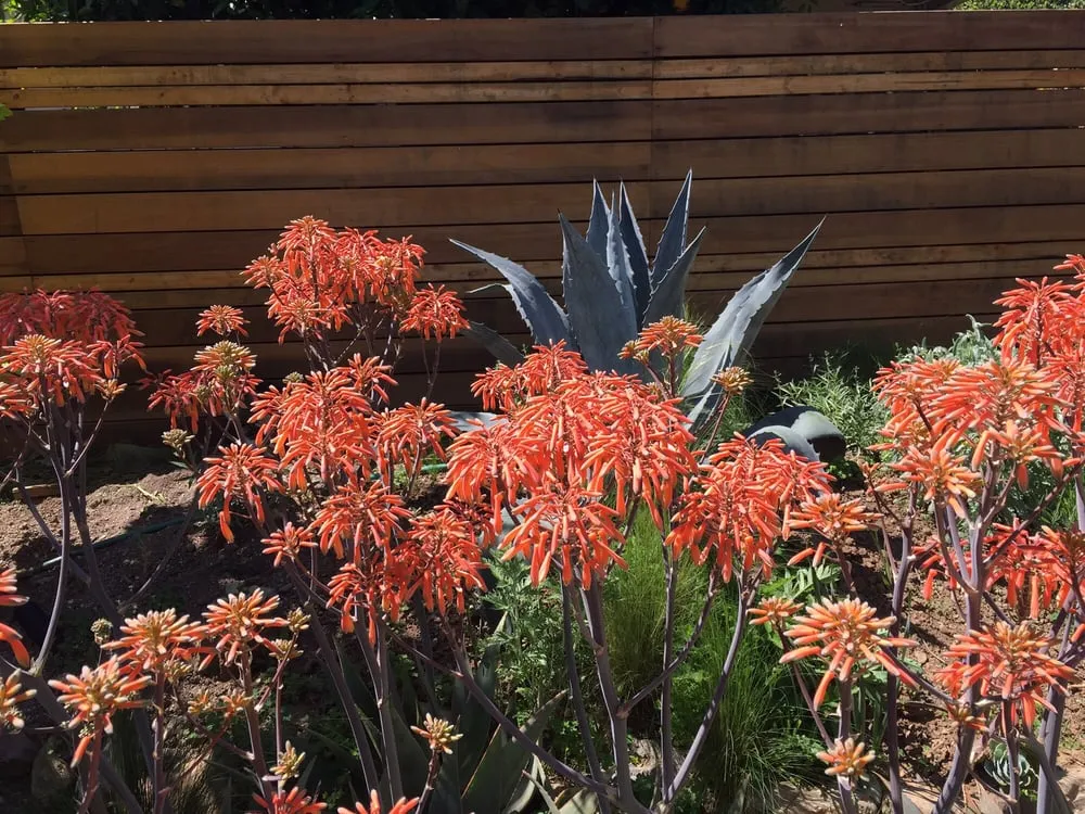 Expert garden landscaping in Vacaville, CA - Behr Landscape Construction