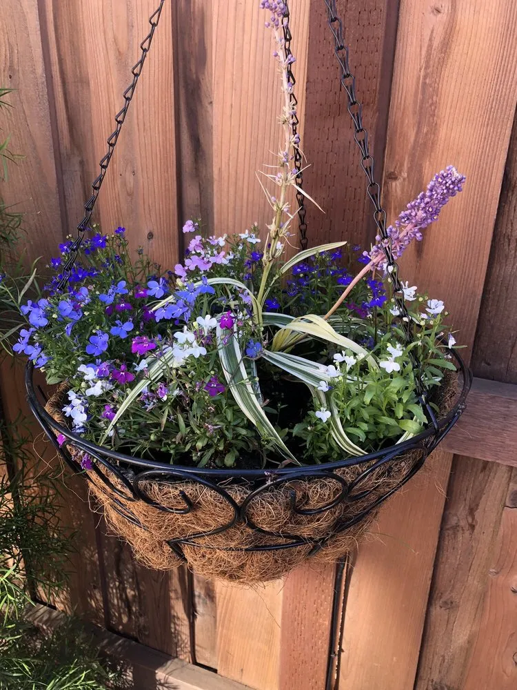 Professional garden landscaping for outdoor upgrades in Vacaville, CA by Behr Landscape Construction