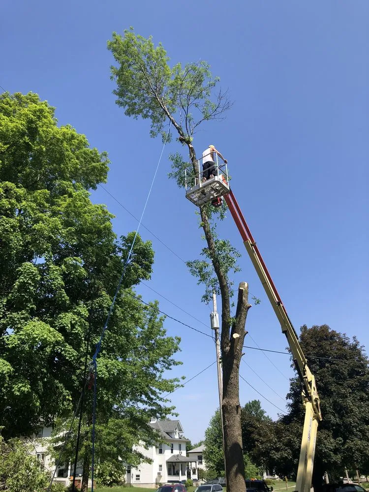 Professional outdoor landscaping in Cedar Rapids, IA by Behrends Lawn Care