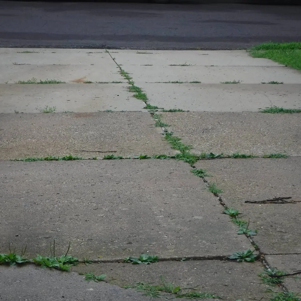 Affordable garden landscaping in Pekin, IL - Behrlawn Mowing & Yardwork