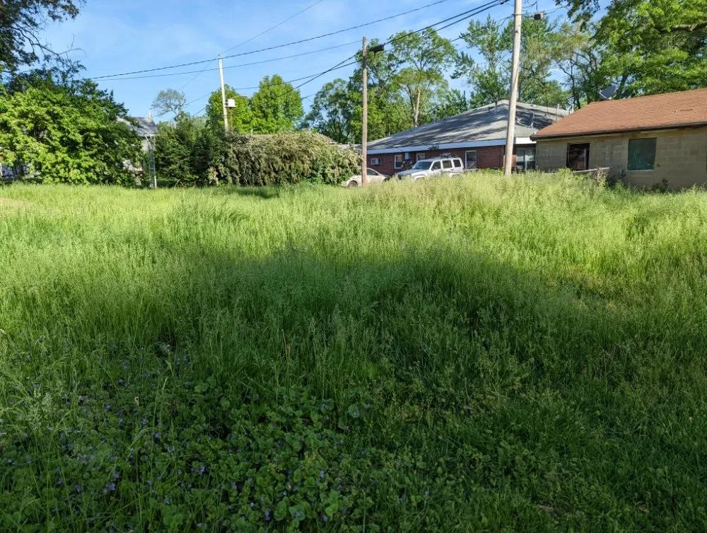 Top-rated yard maintenance with custom design in Pekin, IL by Behrlawn Mowing & Yardwork