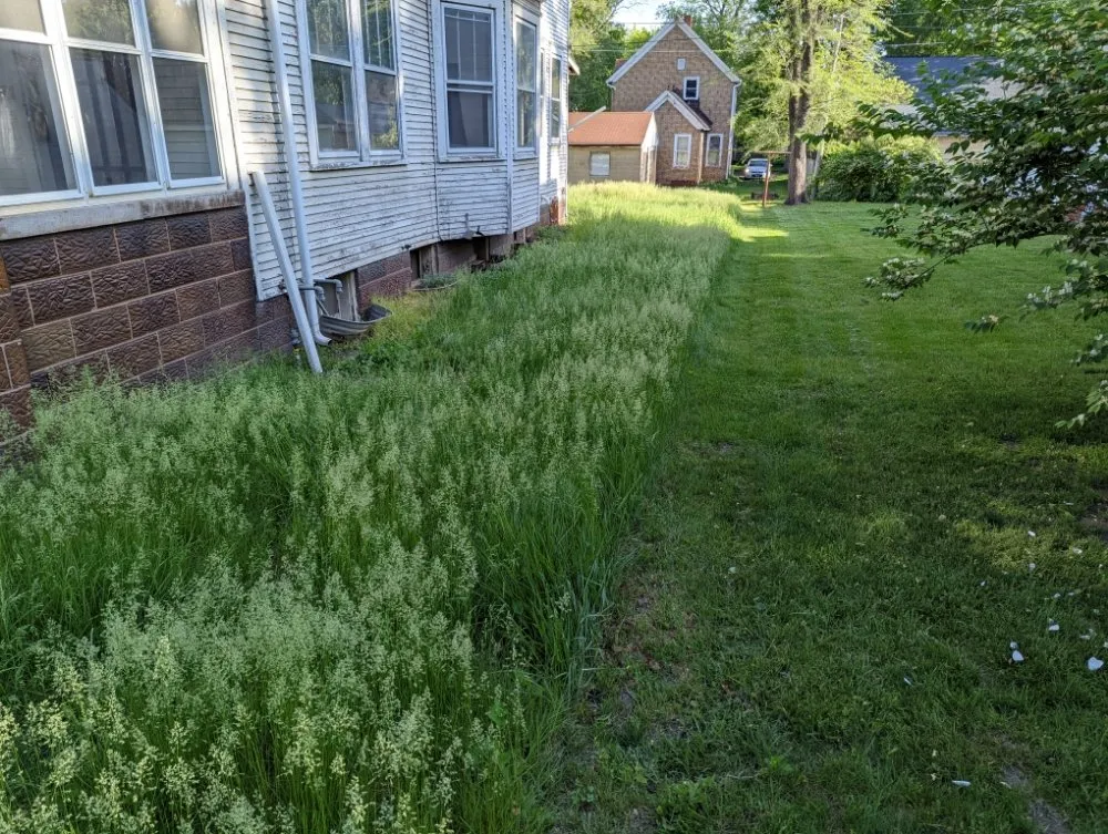 Custom residential landscaping for year-round maintenance across Pekin, IL - Behrlawn Mowing & Yardwork