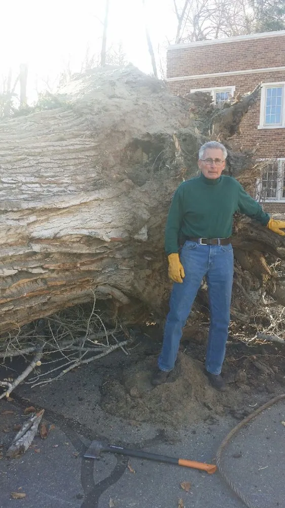 Local lawn mowing service in Taylorsville, UT by Behunin Tree