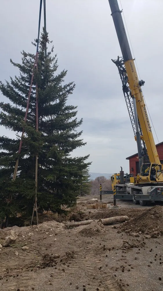 Expert yard cleanup service for year-round maintenance in Taylorsville, UT by Behunin Tree