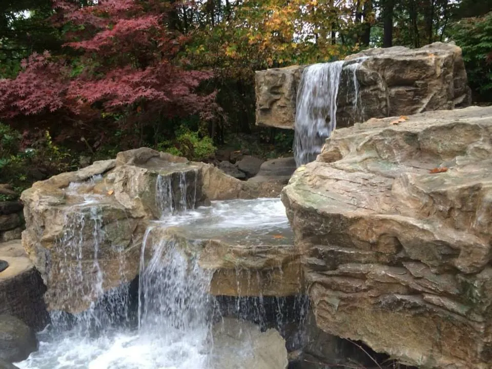 Top-rated landscaping services for beautiful yards across Taylorsville, UT - Behunin Tree