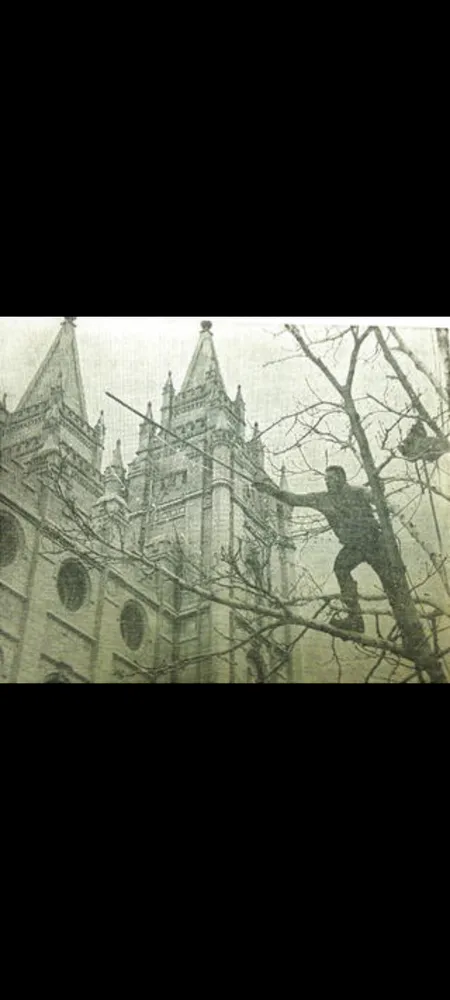 Affordable residential landscaping for homes in Taylorsville, UT by Behunin Tree