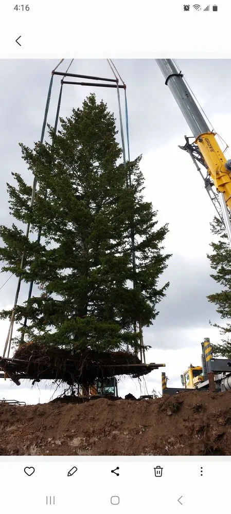 Reliable landscape installation for beautiful yards across Taylorsville, UT - Behunin Tree