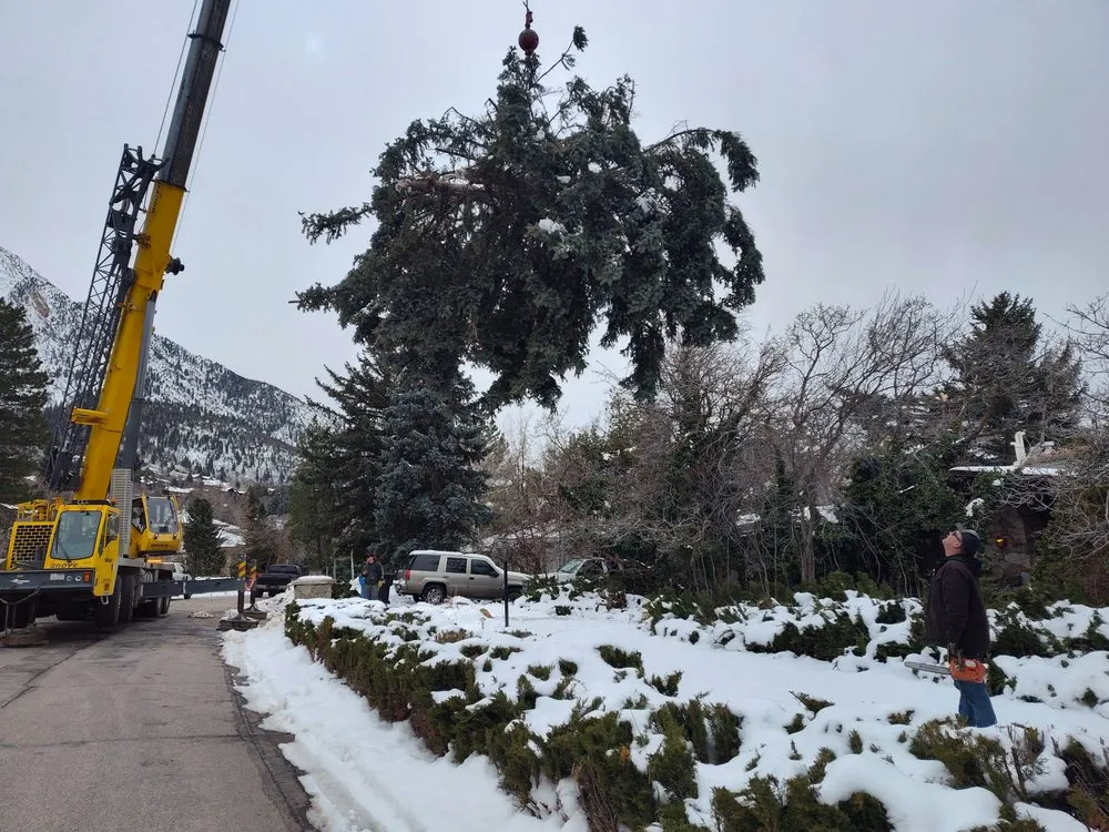 Custom garden landscaping in Taylorsville, UT by Behunin Tree