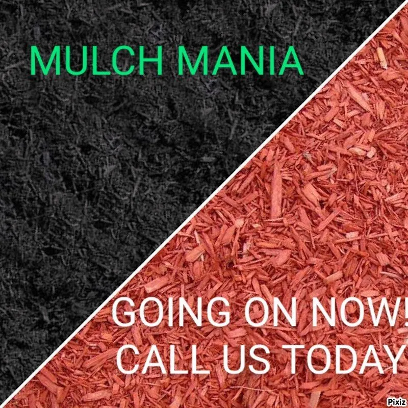 Top-rated outdoor landscaping in Fleetwood, PA - Beidler & Sons Lawn Care