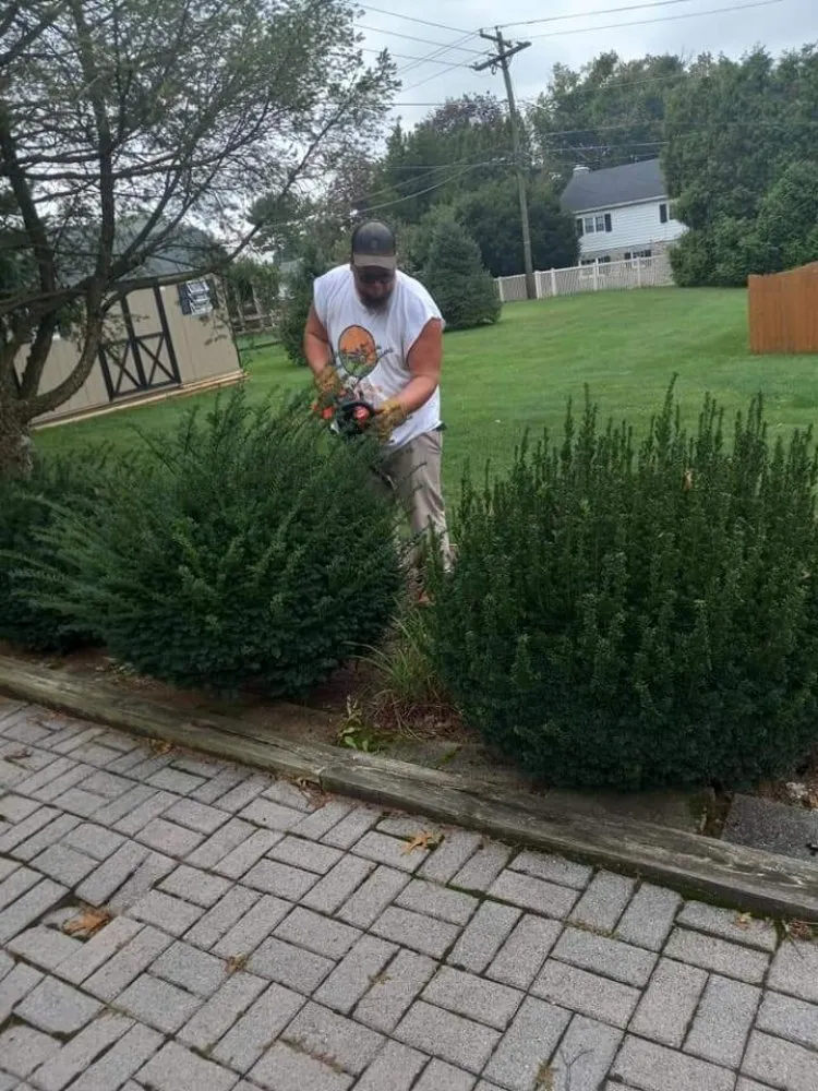 Top-rated landscape installation in Fleetwood, PA by Beidler & Sons Lawn Care