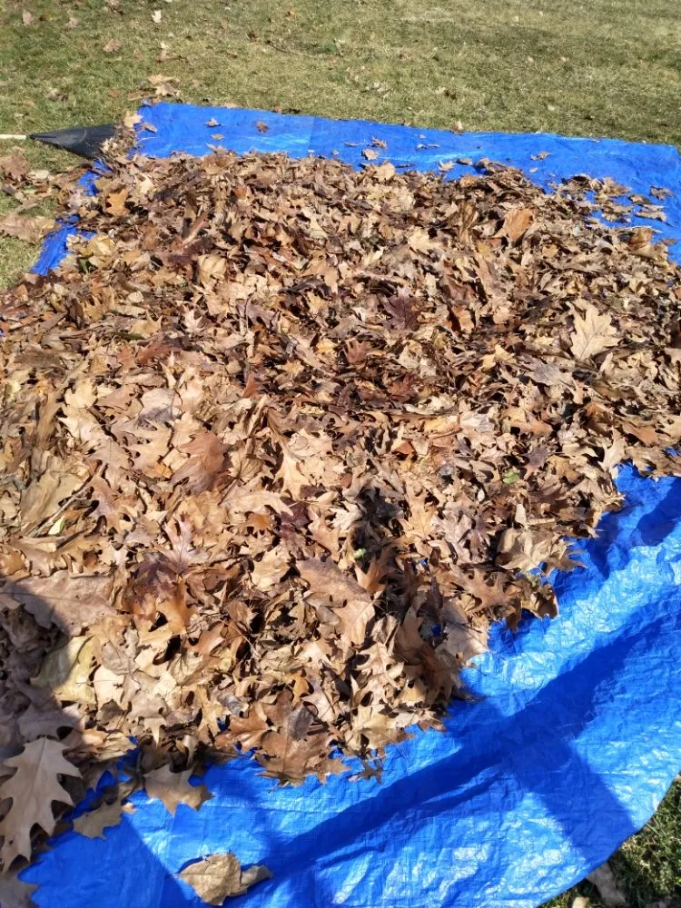 Custom landscape installation experts serving Fleetwood, PA - Beidler & Sons Lawn Care