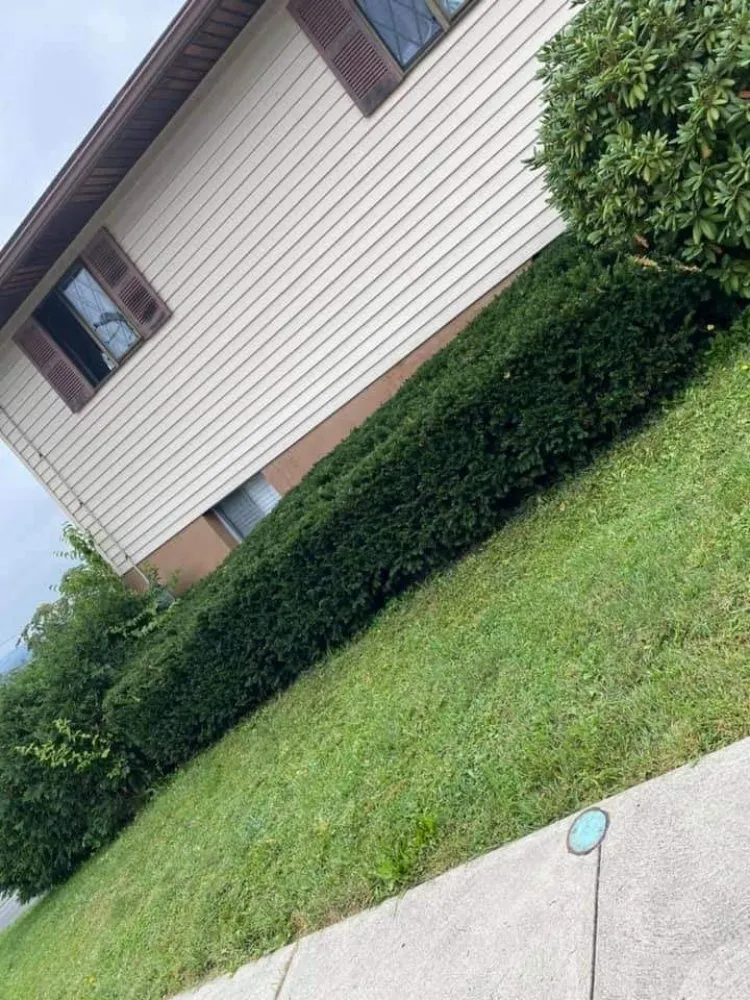 Expert yard cleanup service experts serving Fleetwood, PA - Beidler & Sons Lawn Care