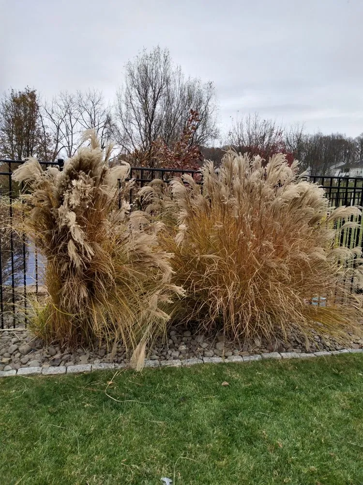 Professional landscaping services for beautiful yards in Fleetwood, PA by Beidler & Sons Lawn Care