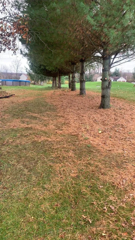 Custom landscaping services experts serving Fleetwood, PA - Beidler & Sons Lawn Care