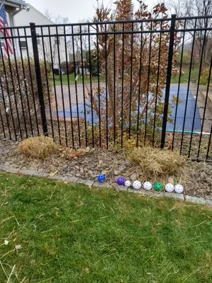 Beidler & Sons Lawn Care