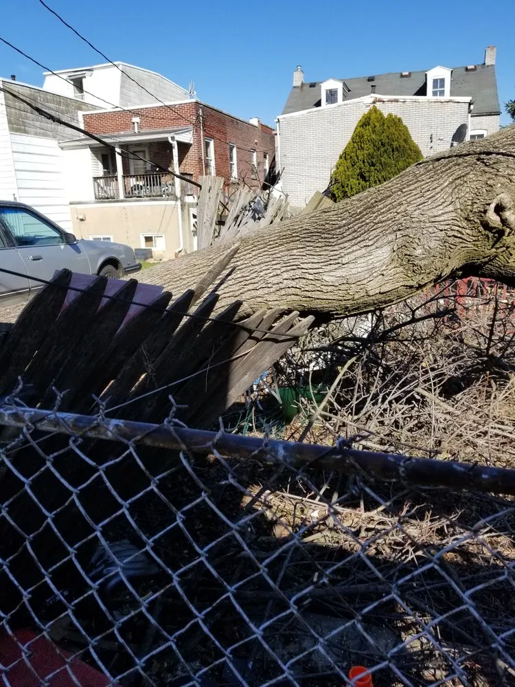 Expert lawn mowing service in Allentown, PA - Beidler Tree Service