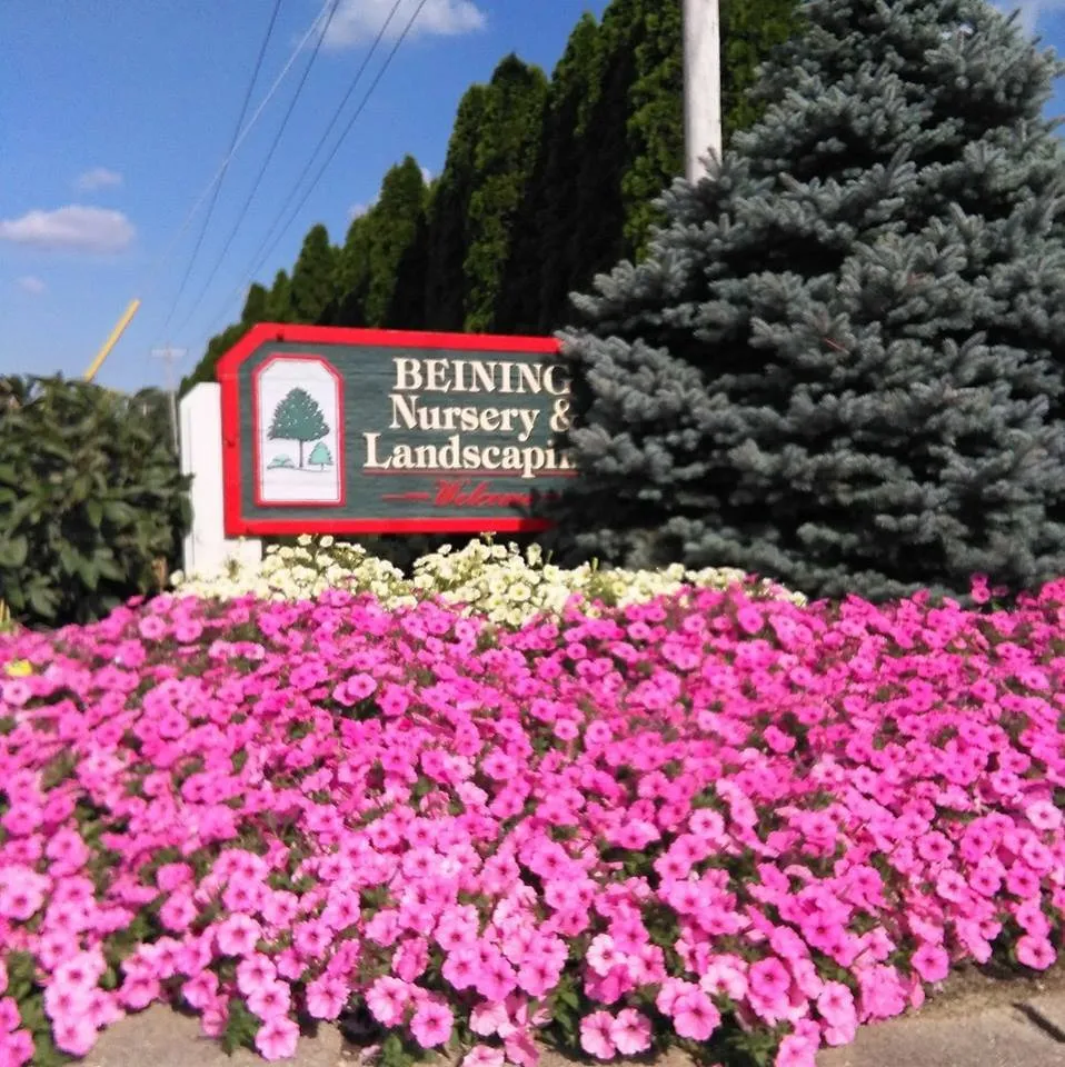 Custom yard cleanup service experts serving Cloverdale, OH - Beining Nursery & Landscaping