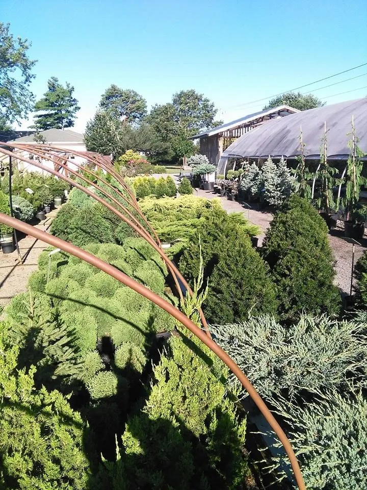 Local yard maintenance in Cloverdale, OH by Beining Nursery & Landscaping