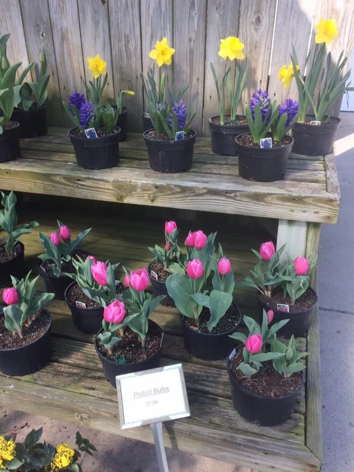 Local landscape design in Cloverdale, OH by Beining Nursery & Landscaping