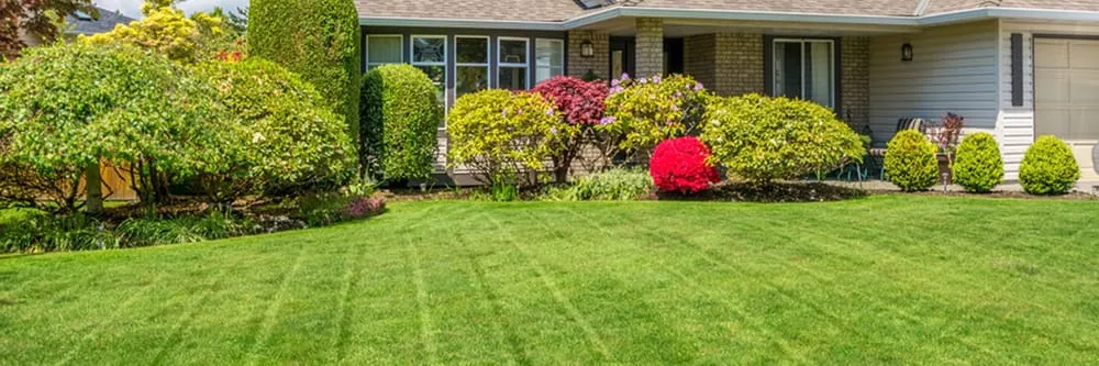 Custom outdoor landscaping in Colora, MD - Bel Air Lawn Service