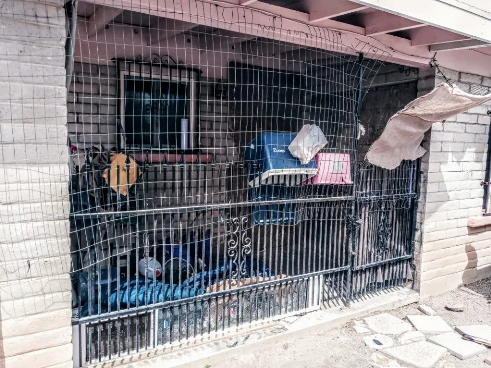 Custom yard cleanup service experts serving Tucson, AZ - Bel Air Trash Haulers