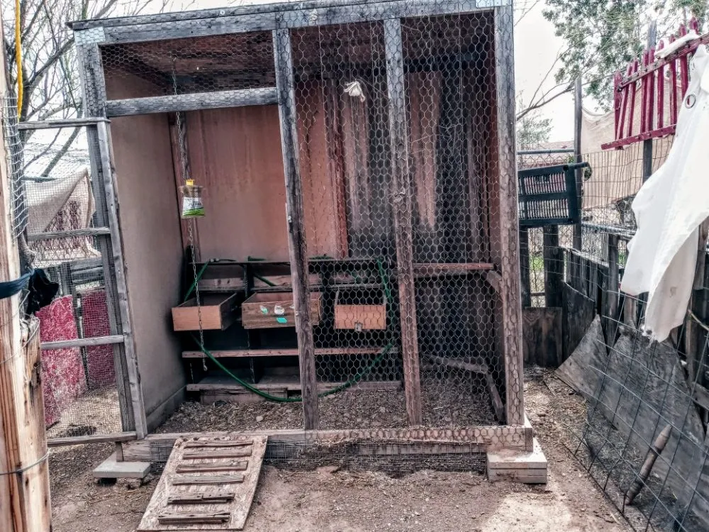 Reliable yard maintenance in Tucson, AZ - Bel Air Trash Haulers