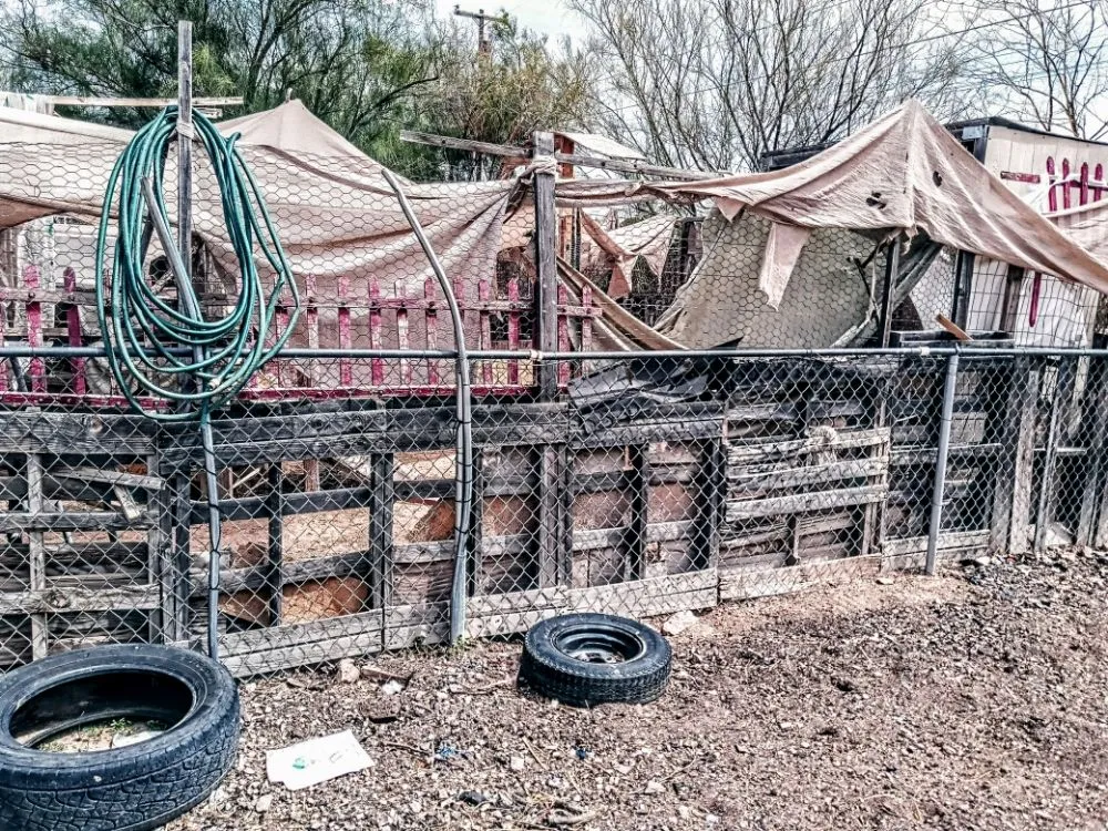 Expert landscape design in Tucson, AZ - Bel Air Trash Haulers