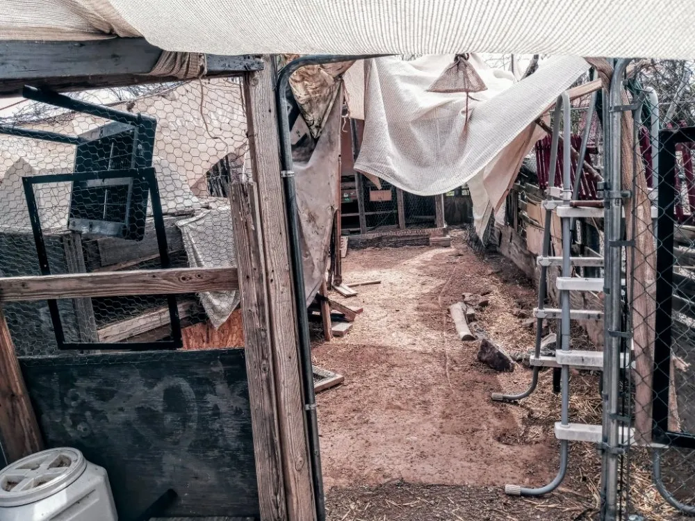 Professional residential landscaping near you in Tucson, AZ by Bel Air Trash Haulers