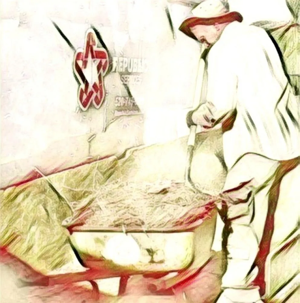 Custom yard maintenance with custom design across Tucson, AZ - Bel Air Trash Haulers