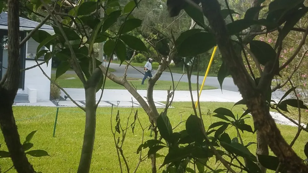 Top-rated residential landscaping in Orlando, FL by Bel Air X Lawn & Landscapes