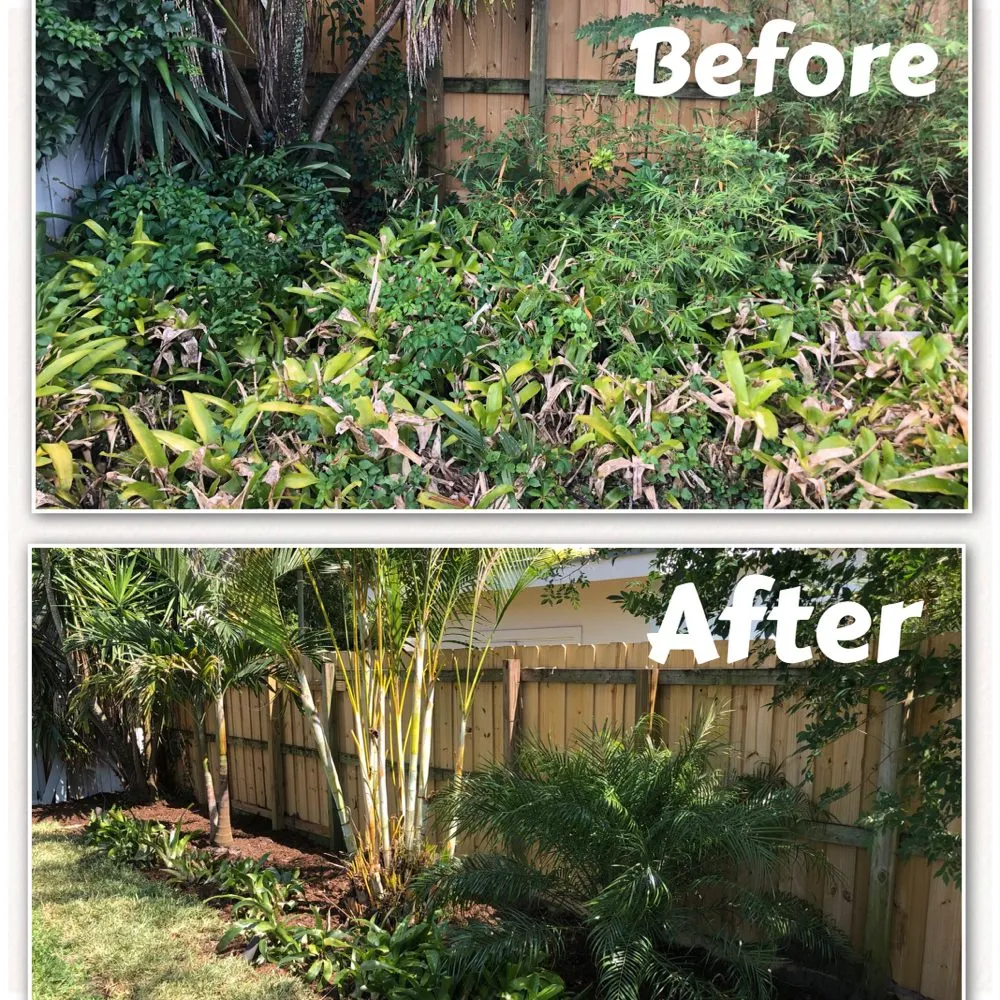 Custom landscaping services experts serving Orlando, FL - Bel Air X Lawn & Landscapes