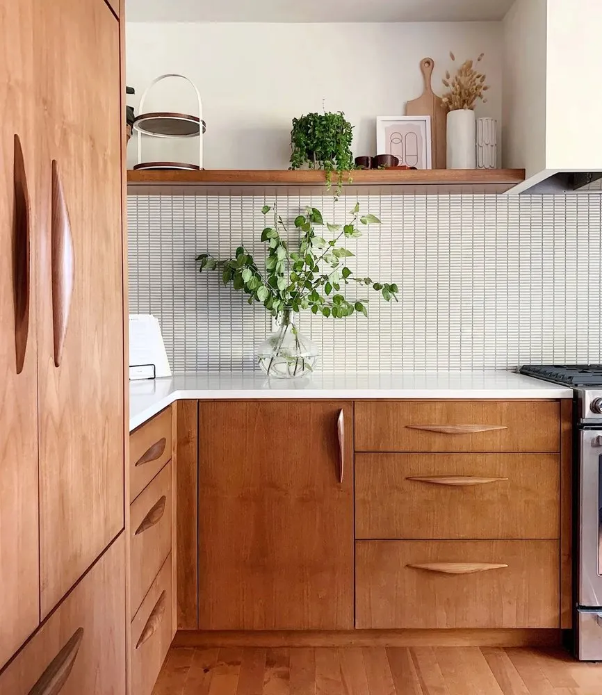 Top-rated lawn care service for residential properties in San Diego, CA by Bela Development